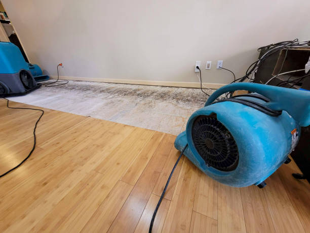 Professional Water Damage Repair technician working in Decatur, AL
